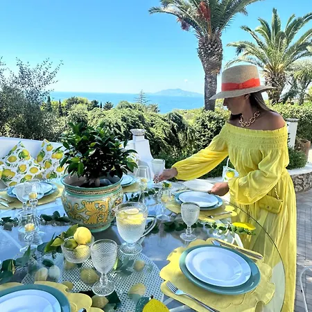 Con Piscina Con 8 Matrimoniali Ad Anacapri, By La Canostra Capri アナカプリ