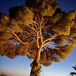 Con Piscina Con 8 Matrimoniali Ad Anacapri, By La Canostra Capri * Анакапри