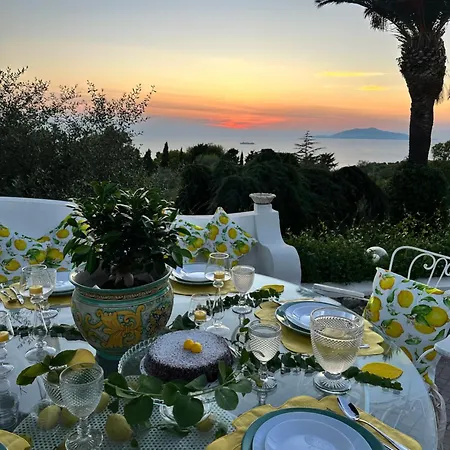 Villa Villa Con Piscina Con 8 Camere Matrimoniali Ad Anacapri, By La Canostra Capri