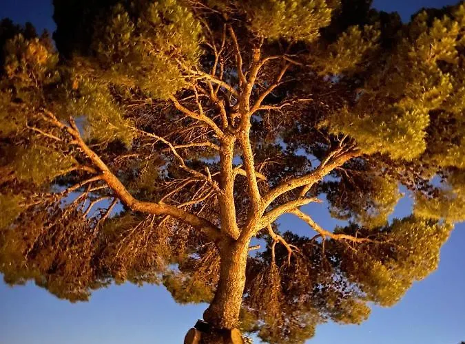 Con Piscina Con 8 Matrimoniali Ad Anacapri, By La Canostra Capri * Anacapri (Isola di Capri)